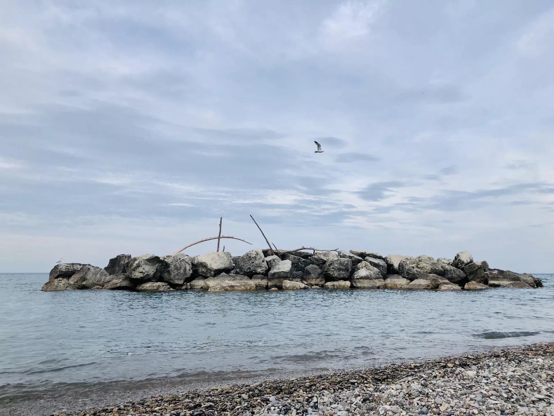 I grew up going to Doctor’s Park. It was like Pirate heaven finding treasures of multi-coloured rocks and smoothed glass. Beyond the beach, it felt like an island of dinosaur bones, branches, and pirate treasure. Going back and capturing it on film as an adult, it felt exactly the same. The lone seagull gave it even more credibility as a pirate sanctuary. (Fox Point, Wisconsin)