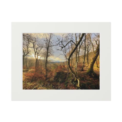 Middle Forrest (Fine Art Paper Print)