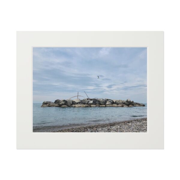 Seagull in the Clouds (Fine Art Paper Print) - Image 2