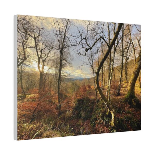 Middle Forrest (Canvas)