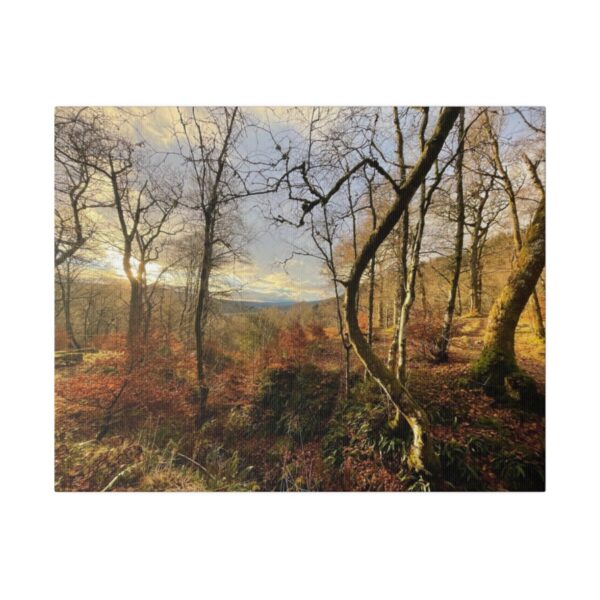 Middle Forrest (Canvas) - Image 2