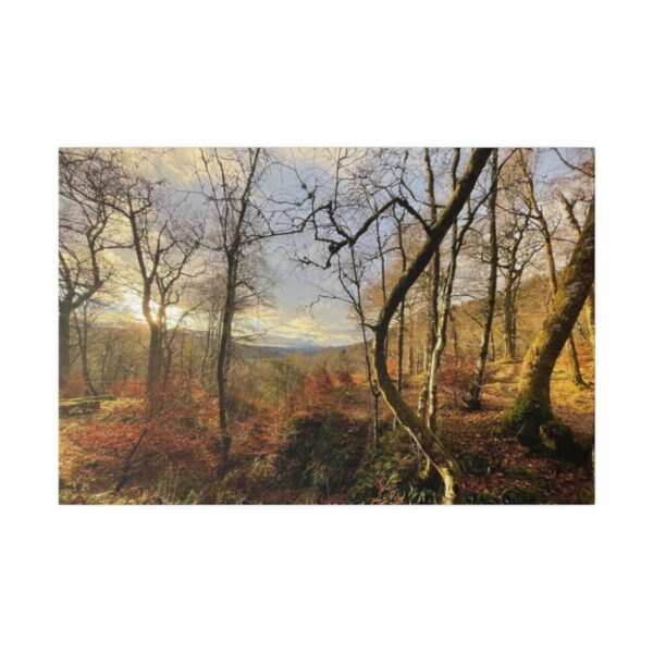 Middle Forrest (Canvas) - Image 3