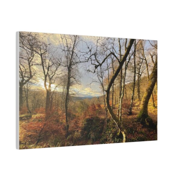 Middle Forrest (Canvas) - Image 4